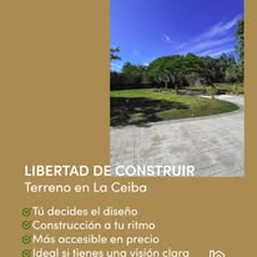 Asesor revisando opciones inmobiliarias